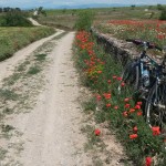 Genèrica mountaing bike